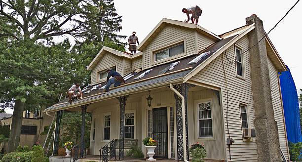 Best Roof Maintenance Services  in Crosby, TX